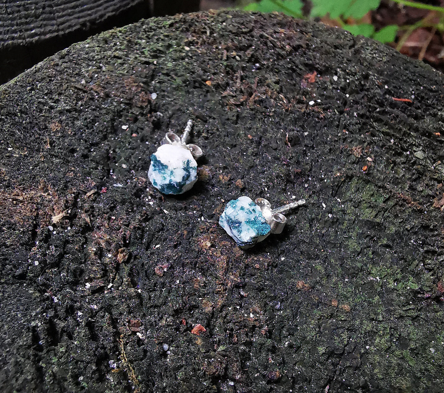 Tree Agate Stud Earrings