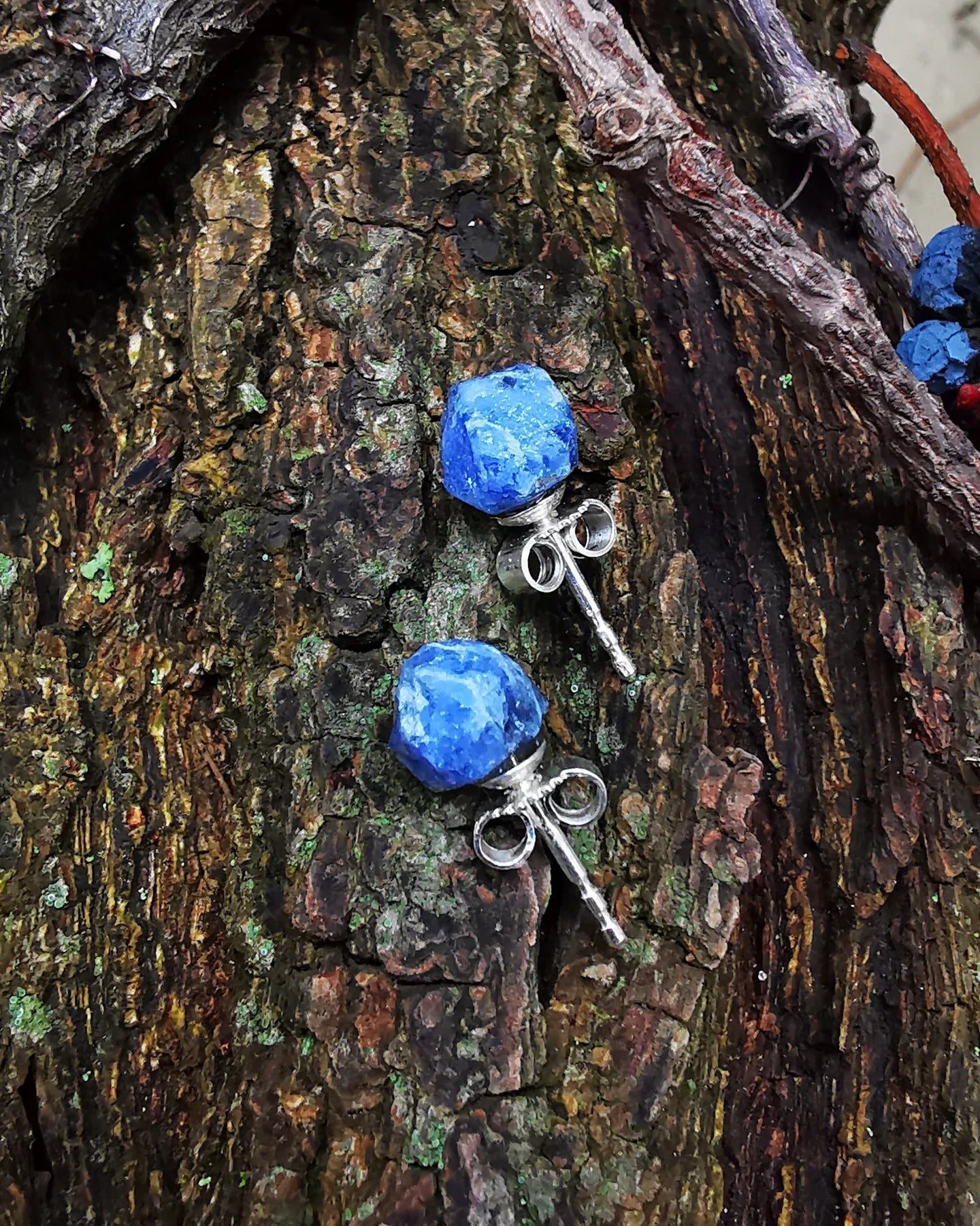 Sodalite Stud Earrings