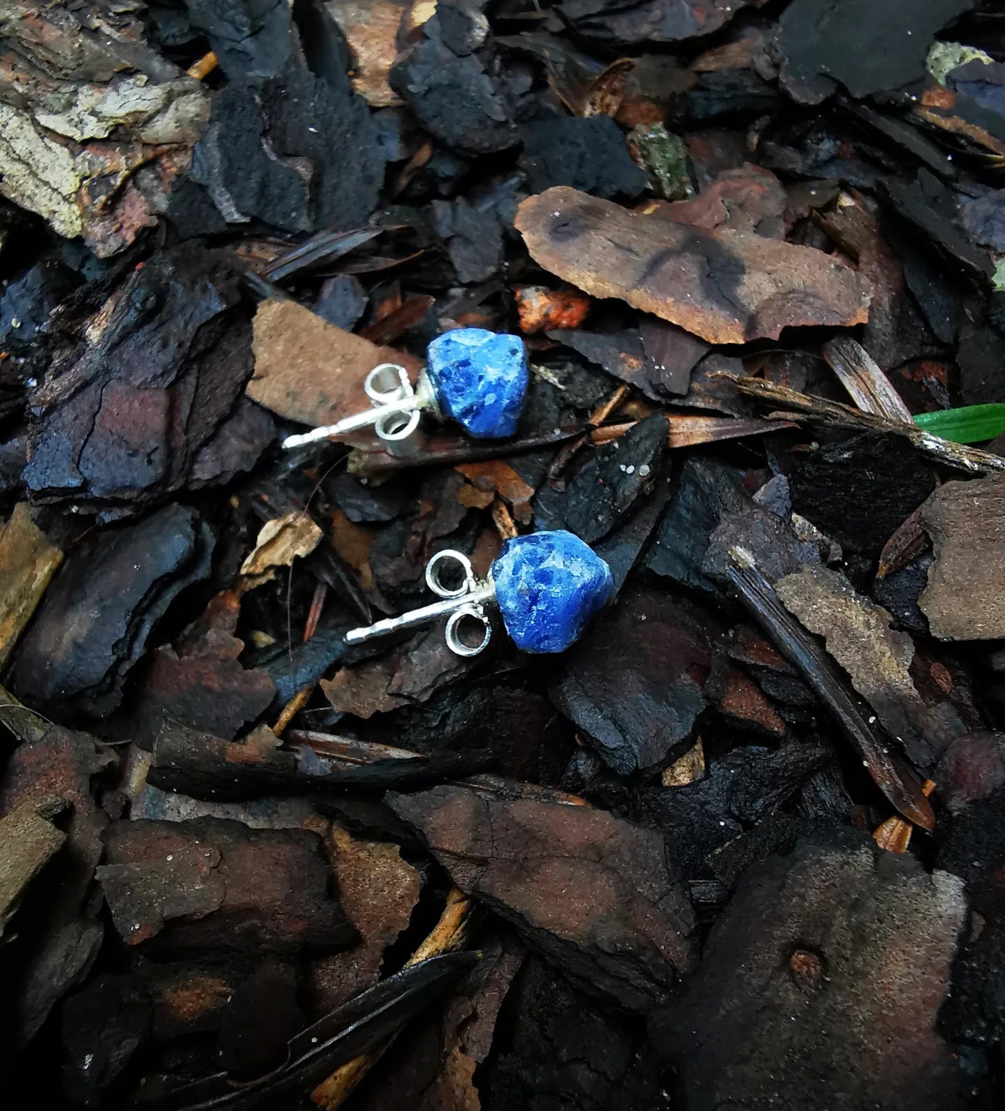 Sodalite Stud Earrings