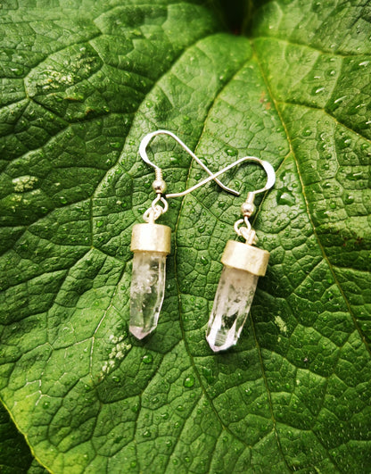 Amethyst Earrings