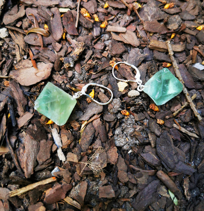 Fluorite Earrings